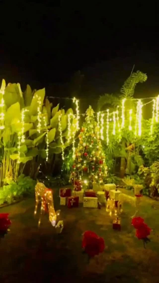 Christmas cocktails, but make it chaos in the best way.
Hands sticky with citrus, glasses clinking a little too confidently, someone definitely pouring with their heart instead of the recipe.

It was festive, a little messy, full of laughs, and exactly how holiday workshops should feel. Easy, social, and dipped in Christmas mood.

If this is your kind of celebration, you know where to find us.
DM us to book your stay and experience workshops like these at Whispering Woods.
.
.
.
.
.
.
.
.
#whisperingwoodschristmas #christmasideas #christmasinmumbai #christmasiscoming

[Christmas in Mumbai • Christmas is coming • Christmas ideas • Christmas spirit • Villas near Mumbai with private pool • Luxury staycation near Mumbai • Romantic getaway near Mumbai • Wellness retreats in Maharashtra
• Best resorts near Mumbai for couples • Nature resorts near Mumbai • Weekend getaways from Mumbai • Pet-friendly resorts near Mumbai • Quiet escapes near Mumbai • Premium villas in Maharashtra • Eco-friendly resorts near Mumbail