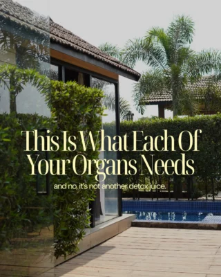 Your body has been sending signals.

Poor sleep.
Too much screen time.
Air that doesn’t feel like air anymore.
Turns out most organs want surprisingly simple things.

Fresh air.
Sunlight.
Deep sleep.
Real food.
Hydration.
Slow mornings.

Exactly the kind of life that happens naturally in a cabin in the woods.

The Signature Wooden Cabins at Whispering Woods are designed for quiet mornings, green views, long conversations and the kind of rest that feels real.

If your body has been asking for a reset, this might be it.
Book your stay at Whispering Woods.

#BeatTheHeat

low AQI · cabin in the woods · wooden cabins near mumbai · slow living · forest retreat · peaceful getaway · digital detox · weekend escape · nature stay · pool in the woods